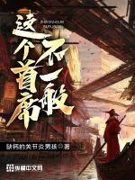 《这个首席不一般》小说封面