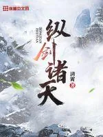 《纵剑诸天》小说封面