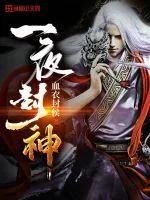 《一夜封神》小说封面