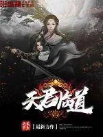 《天君临道》小说封面