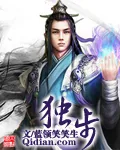 《独步》小说封面