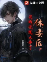 《休妻后，我成武道大帝了》小说封面