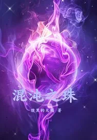 《混沌之珠》小说封面