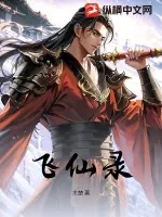 《飞仙录》小说封面
