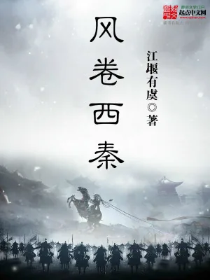 《风卷西秦》小说封面