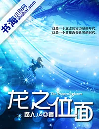 《龙之位面》小说封面