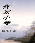 《佟家小妾》小说封面