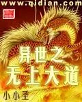 《异世之无上大道》小说封面