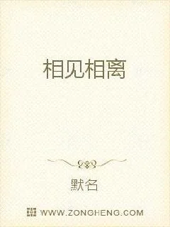 《相见相离》小说封面