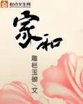 《家和》小说封面