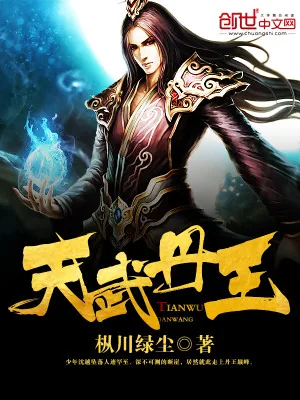 《天武丹王》小说封面
