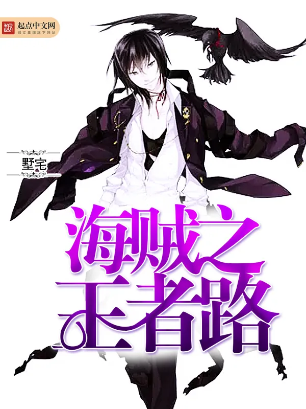 《海贼之王者路》小说封面