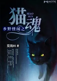 《乡野怪闻之猫魂》小说封面