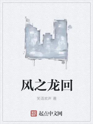 《风之龙回》小说封面