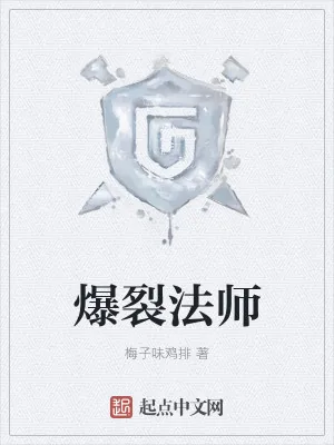 《爆裂法师》小说封面