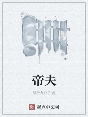 《帝夫》小说封面
