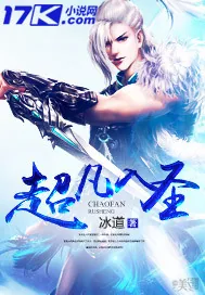 《超凡入圣》小说封面