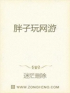 《胖子玩网游》小说封面