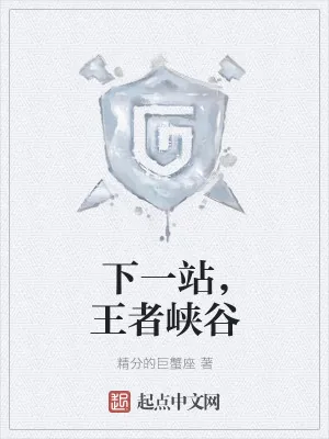 《下一站，王者峡谷》小说封面