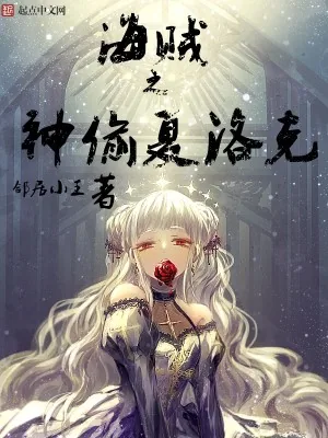 《海贼之神偷夏洛克》小说封面