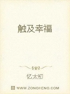 《触及幸福》小说封面