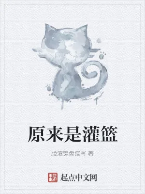 《原来是灌篮》小说封面