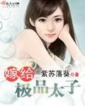 《嫁给极品太子》小说封面