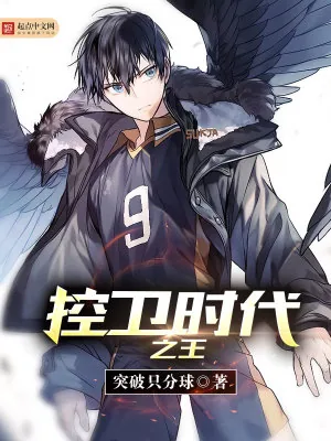 《控卫时代之王》小说封面