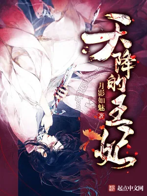 《天降的王妃》小说封面