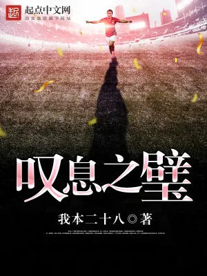 《叹息之璧》小说封面