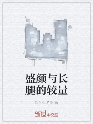 《盛颜与长腿的较量》小说封面