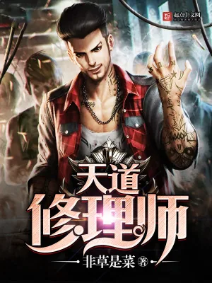 《天道修理师》小说封面