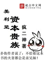 《美利坚资本贵族》小说封面