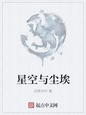《星空与尘埃》小说封面