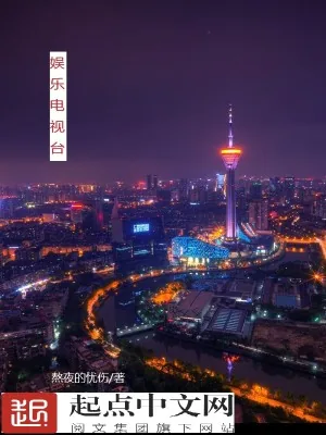 《娱乐之我有一个电视台》小说封面