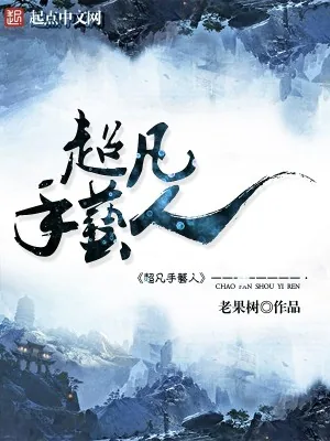 《超凡手艺人》小说封面