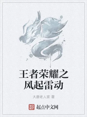 《王者荣耀之风起雷动》小说封面