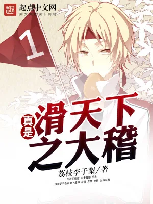 《真是滑天下之大稽》小说封面