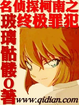《名侦探柯南之终极罪犯》小说封面