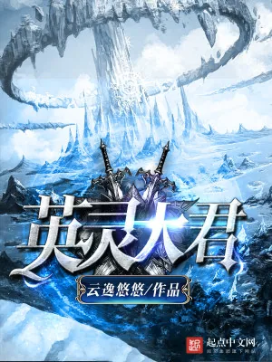 《英灵大君》小说封面