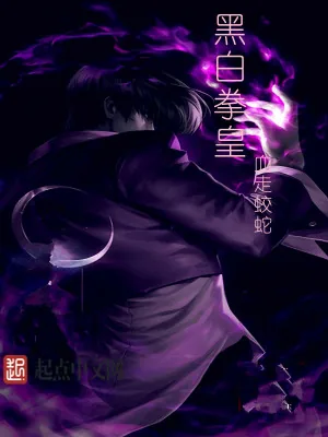 《黑白拳皇》小说封面