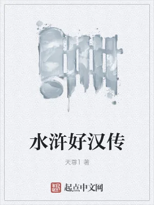 《水浒好汉传》小说封面