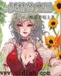 《妖精的魔匣》小说封面