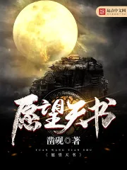 《愿望天书》小说封面