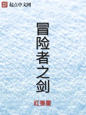 《冒险者之剑》小说封面