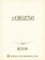 《zt测试56》小说封面