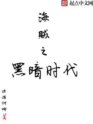 《海贼之黑暗时代》小说封面