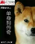 《英雄联盟之单身狗传奇》小说封面