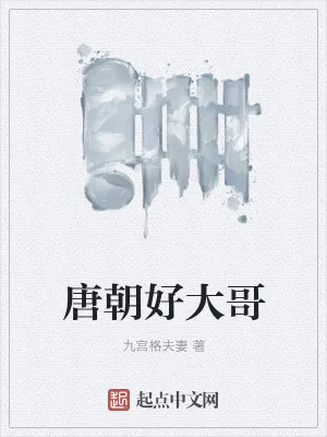 《唐朝好大哥》小说封面