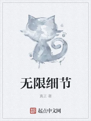 《无限细节》小说封面